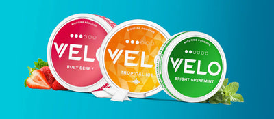 VELO Nicotine Pouches