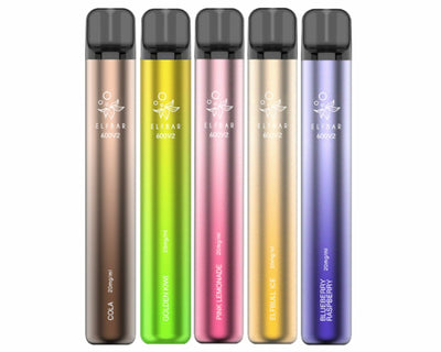 Elf Bar V2 600 Disposable Vape