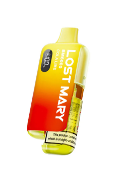 Lost Mary BM6000 Disposable Vape